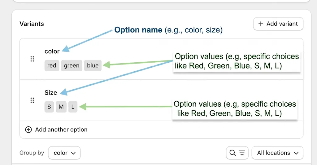 The Option Section in Shopify Admin Dashboard in Product